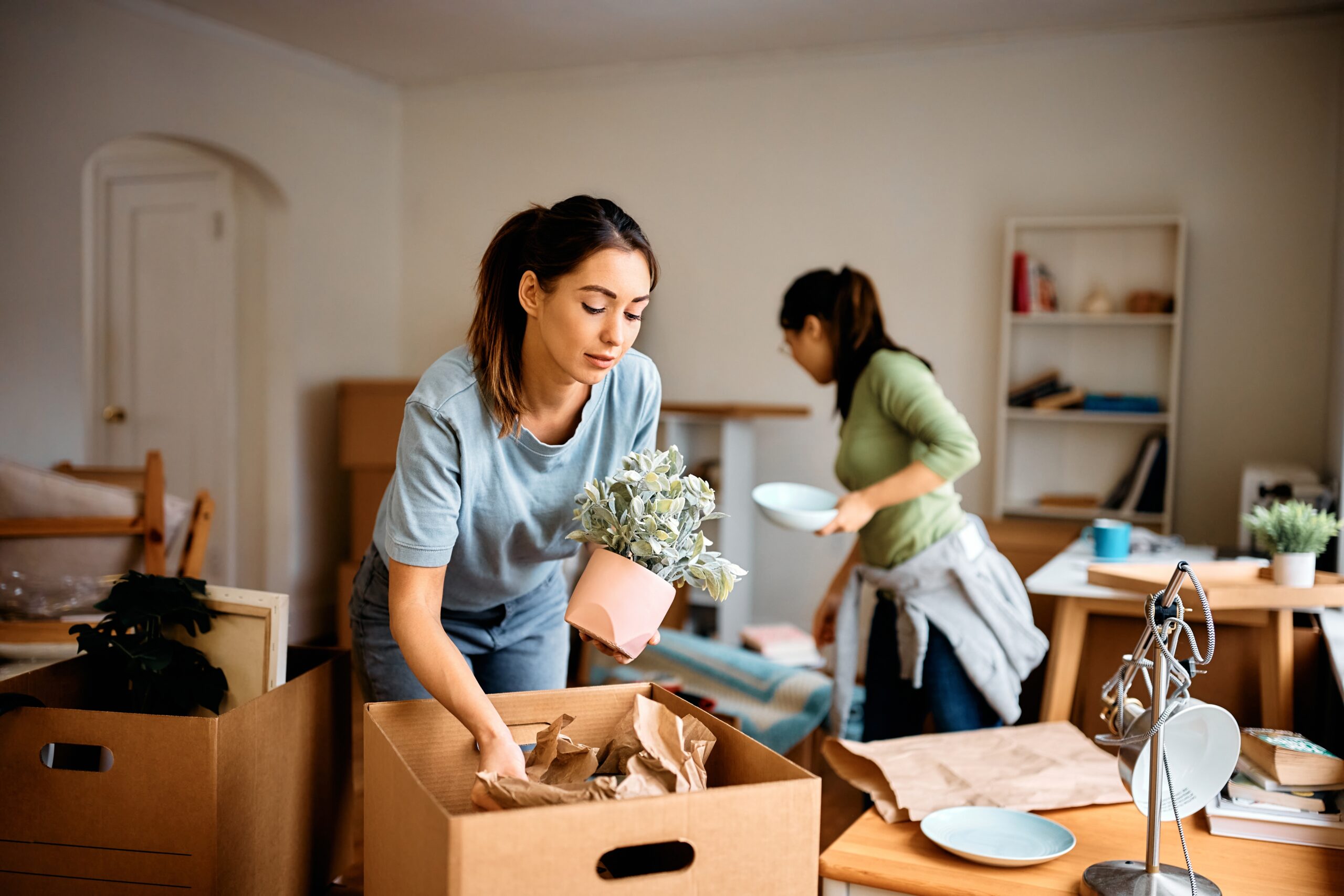 Loading and Unloading Services
